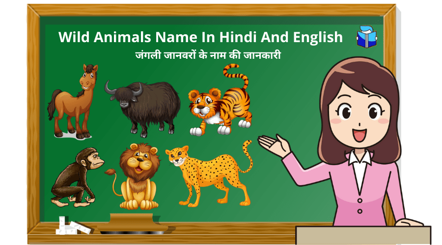 जंगली जानवरों के नाम की जानकारी | Wild Animals Name In Hindi And English -  