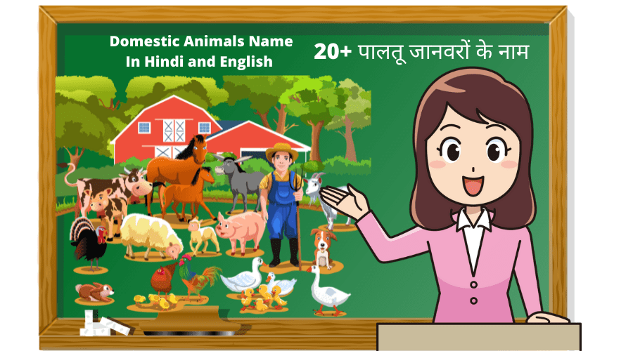 20+ पालतू जानवरों के नाम | Domestic Animals Name In Hindi and English