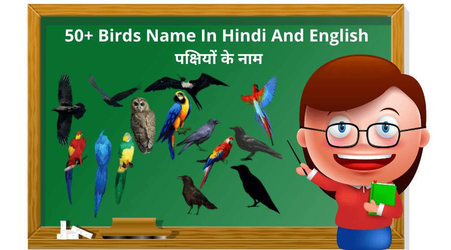 50+ Birds Name In Hindi And English पक्षियों के नाम