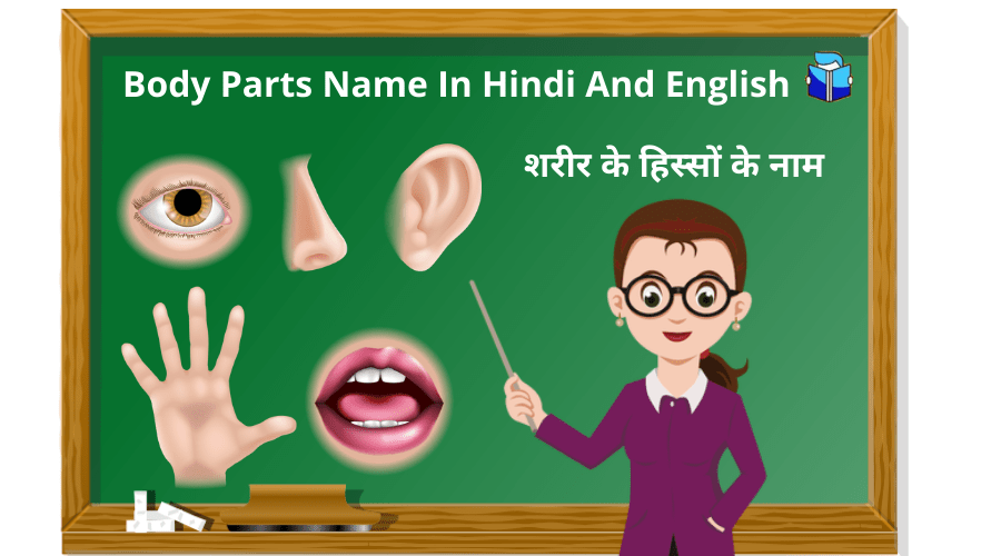 Body Parts Name In Hindi And English