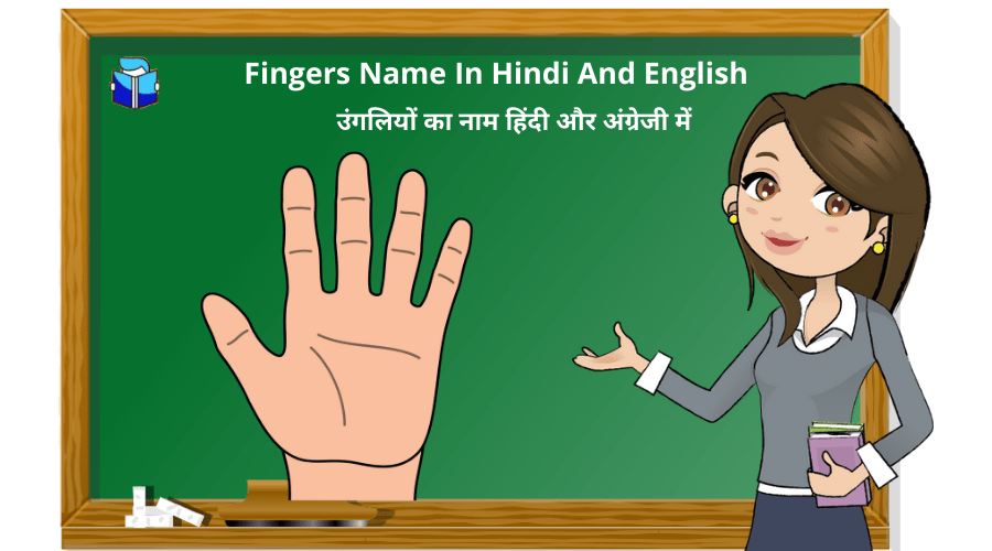 Fingers Name In Hindi And English | उंगलियों का नाम हिंदी और अंग्रेजी में