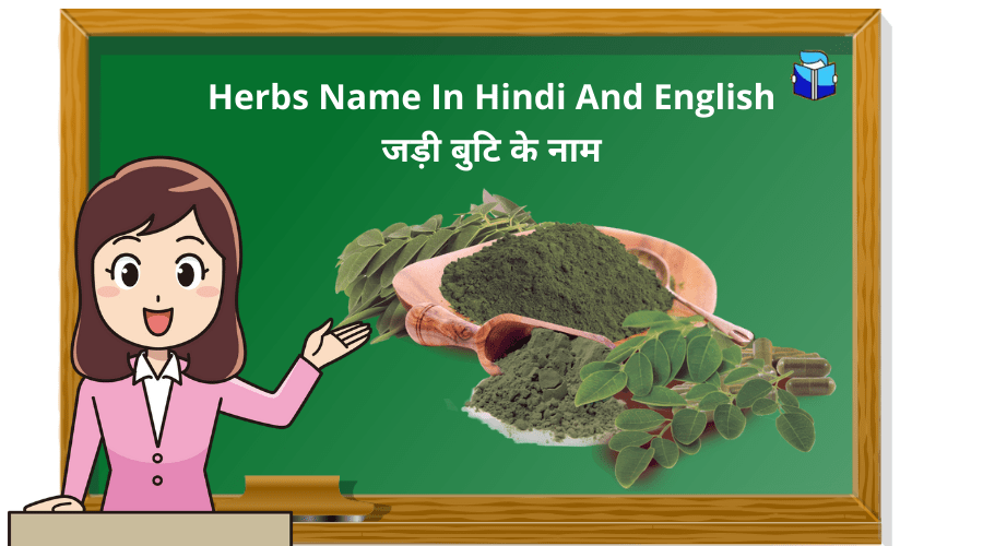 Herbs Name In Hindi And English