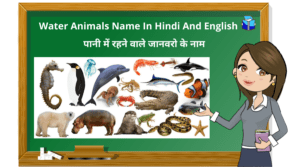 Water Animals Name In Hindi And English