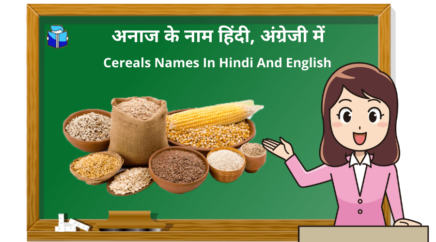 अनाज के नाम हिंदी, अंग्रेजी में | Cereals Names In Hindi And English