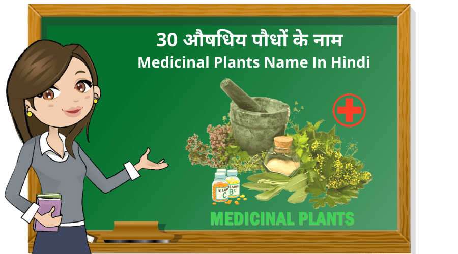 30 औषधिय पौधों के नाम | Medicinal Plants Name In Hindi
