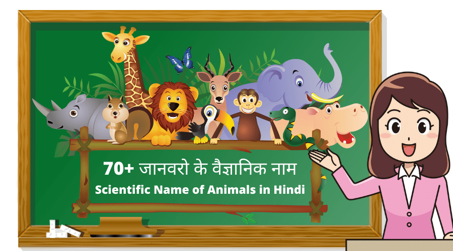 70+ जानवरो के वैज्ञानिक नाम | Scientific Name of Animals in Hindi