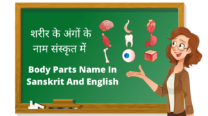 शरीर के अंगों के नाम संस्कृत में Body Parts Name In Sanskrit And English