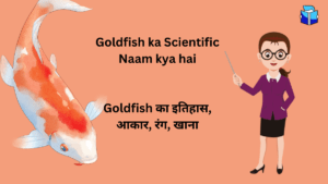 Goldfish ka Scientific Naam kya hai