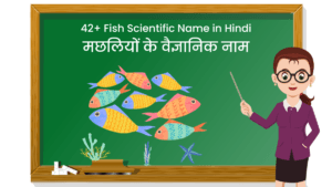 Fish Scientific Name in Hindi