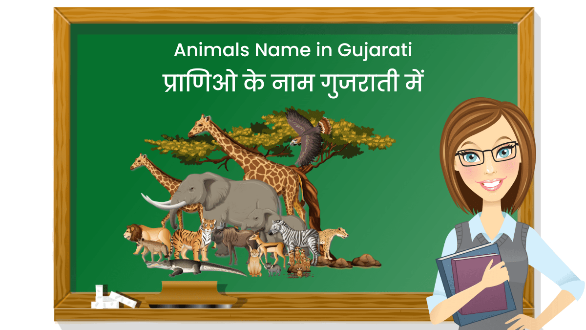 Animals Name in Gujarati