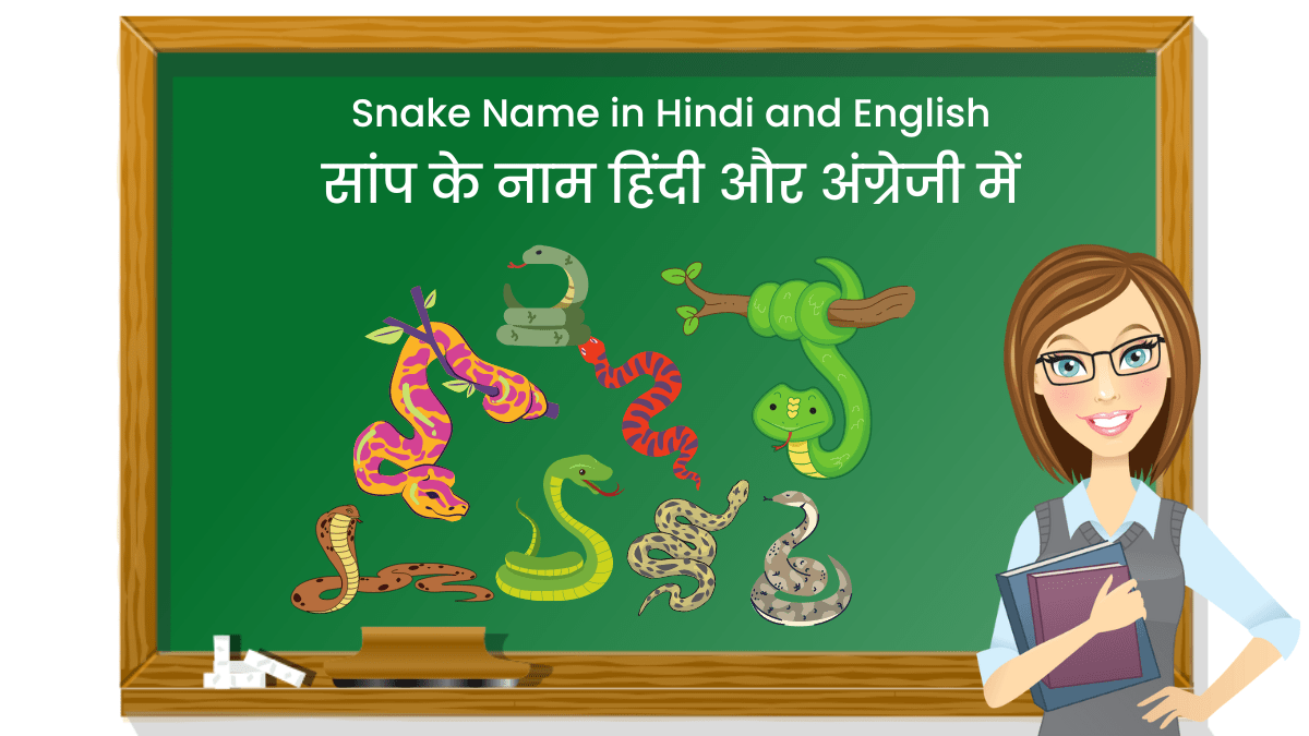 Snake Name in Hindi and English