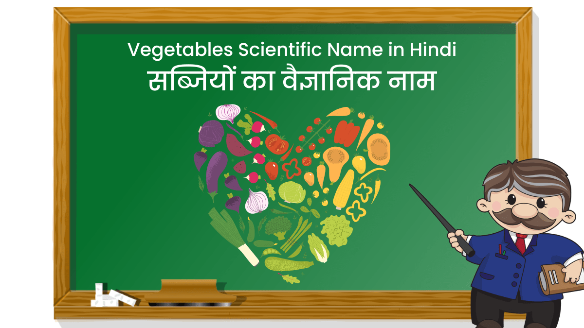 Vegetables Scientific Name in Hindi
