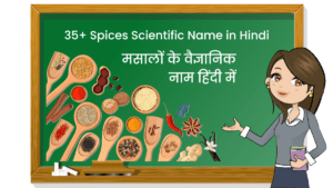 Spices Scientific Name in Hindi