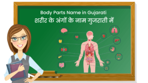 Body Parts Name in Gujarati